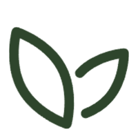 Bio-venlige materialer produkter